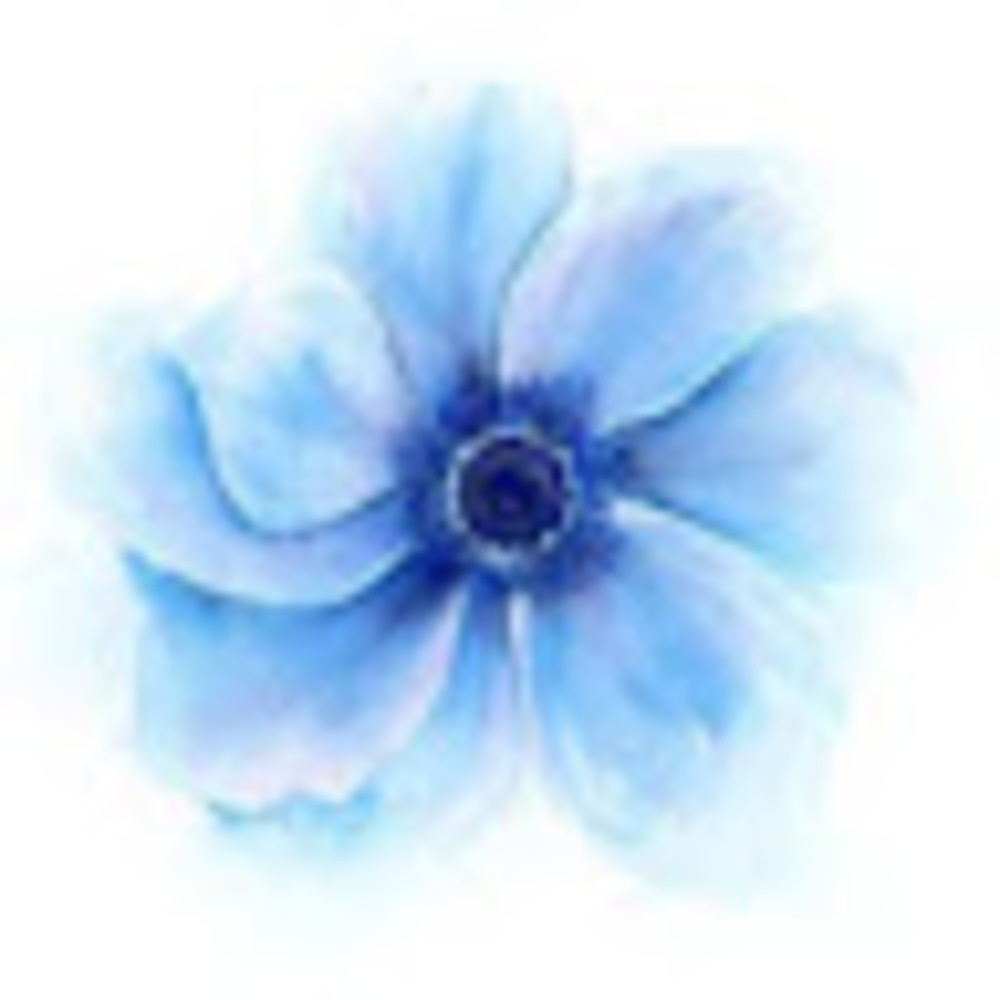 Meet your Posher, Basic